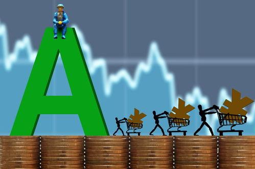 今日股市新鲜爆料,今日新鲜爆料揭示投资新动向